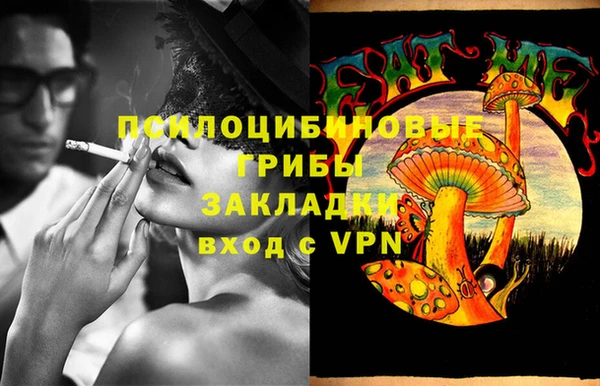 спайс Козловка
