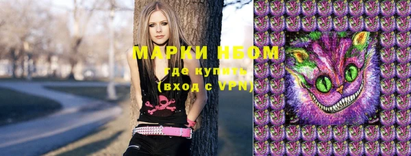стафф Кодинск