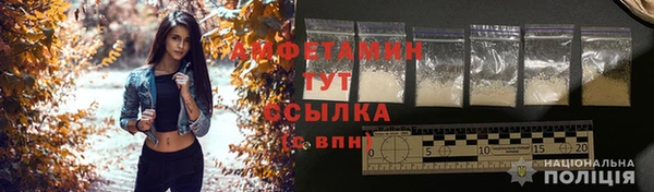 гидра Коряжма